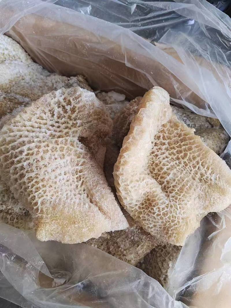 穆智鑫金钱肚