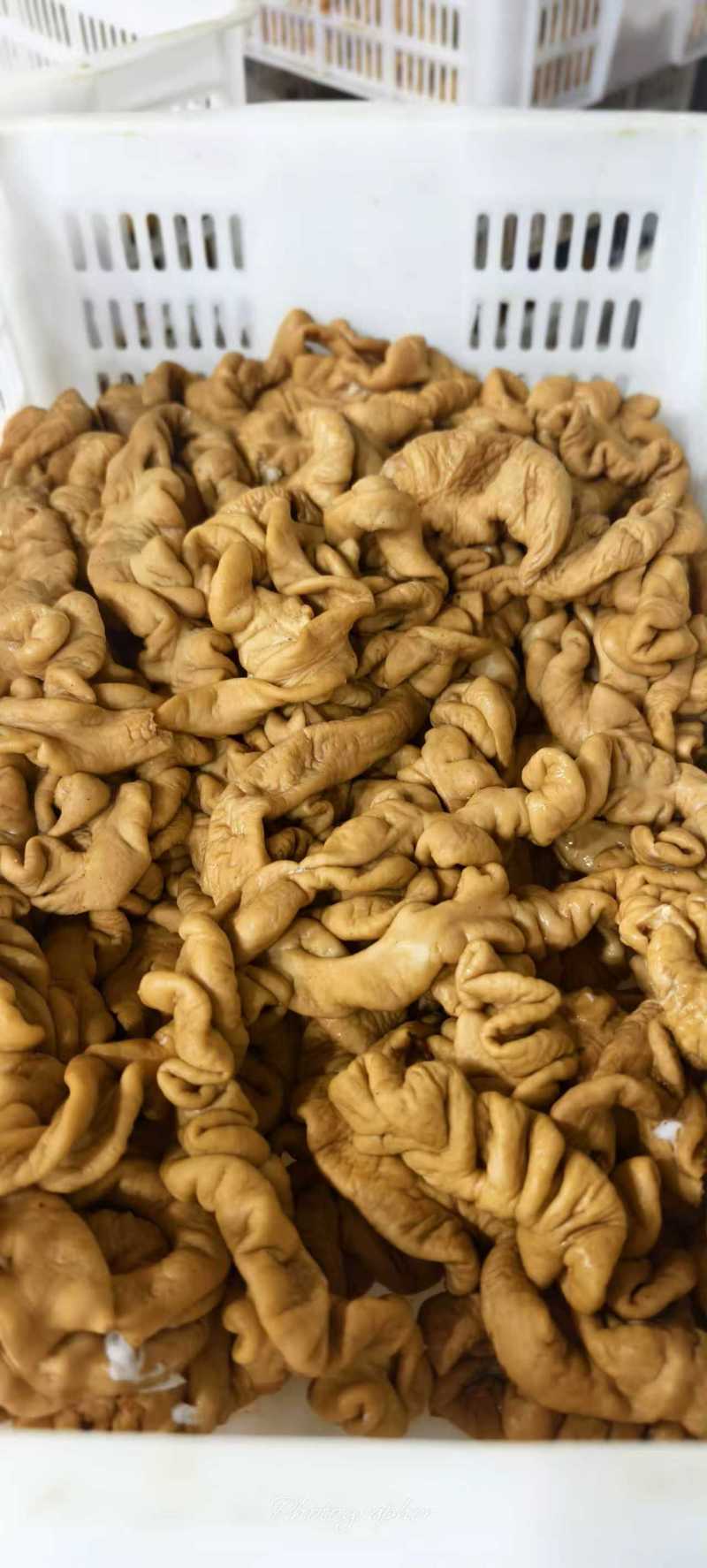 《精品卤肥肠》五香猪大肠/卤粉肠/工厂直发/保质保量