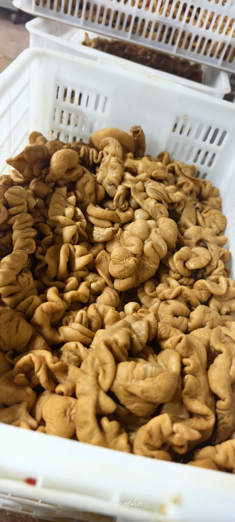 《精品卤肥肠》五香猪大肠/卤粉肠/工厂直发/保质保量