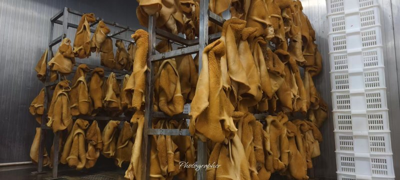 《五香牛肚》卤牛肚/精品牛肚/工厂直发/来电咨询有优惠