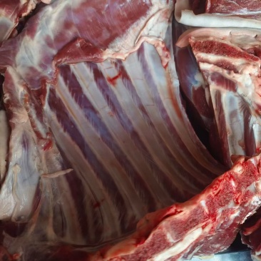 正宗放养黑山羊肉