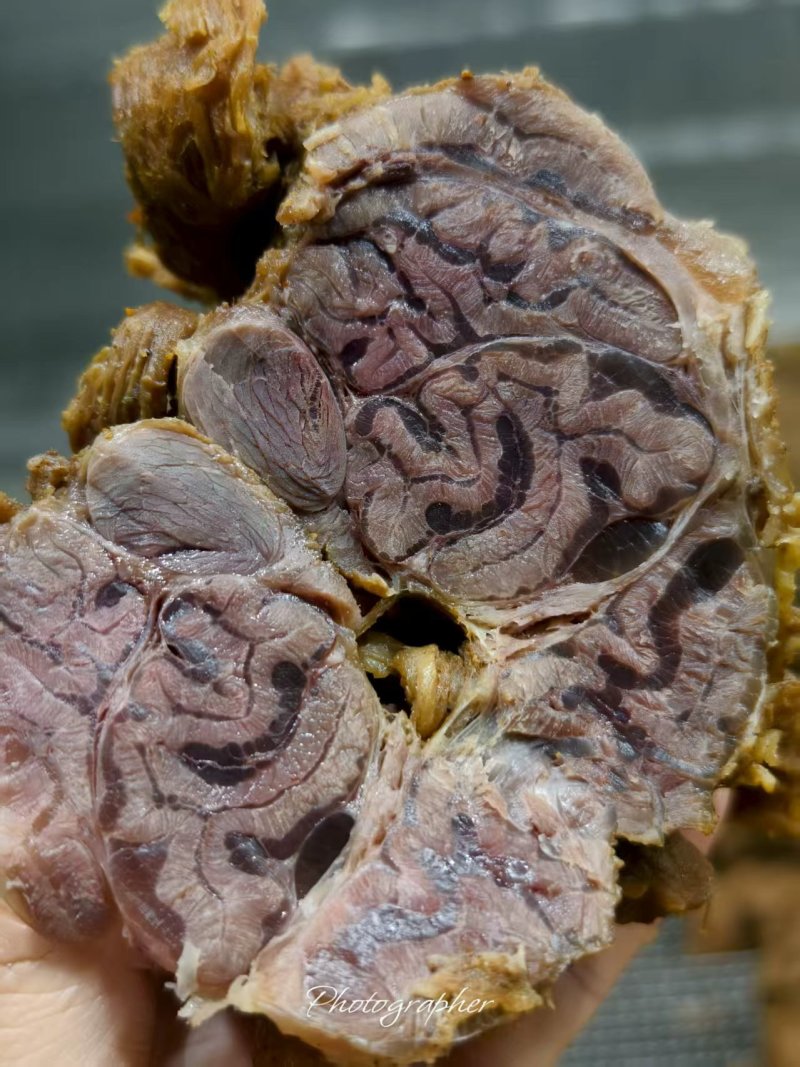 【熟牛肉】《五香牛排腱子肉》工厂直发/冷链运输保质保量