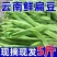 云南扁豆大量供应，产地直发，保质保量，诚信经营，可视频看货