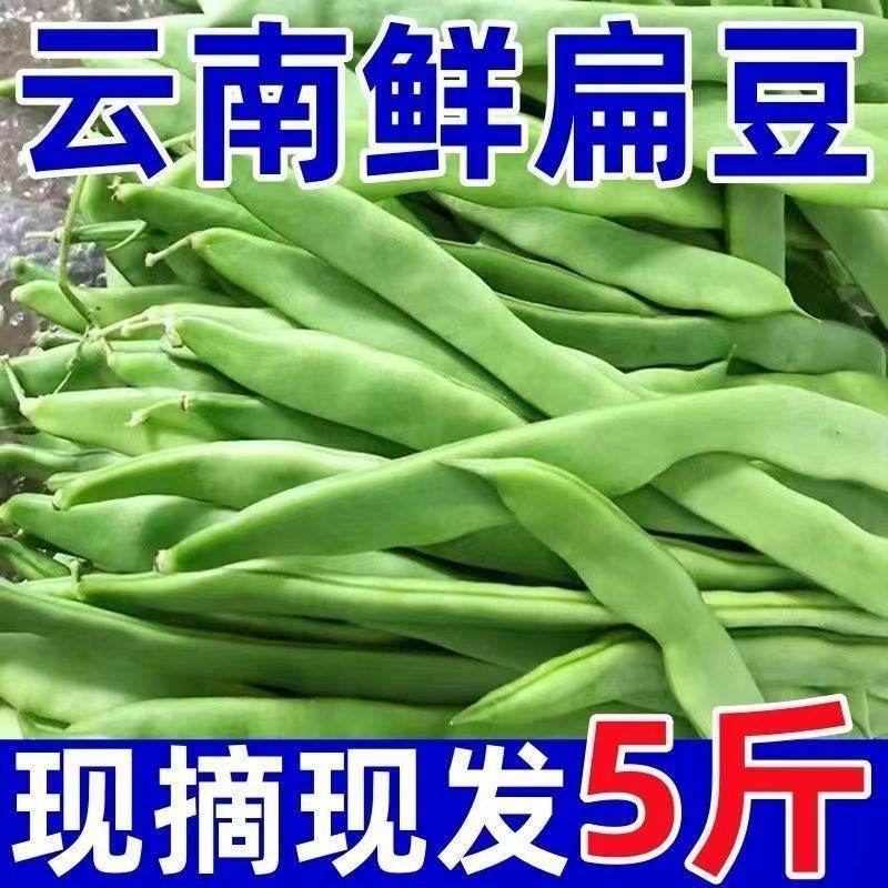 云南扁豆大量供应，产地直发，保质保量，诚信经营，可视频看货