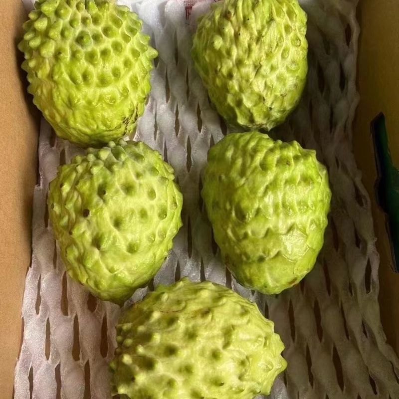 精品释迦果，一手货源，全国发货，可对接电商商超等，诚信经营