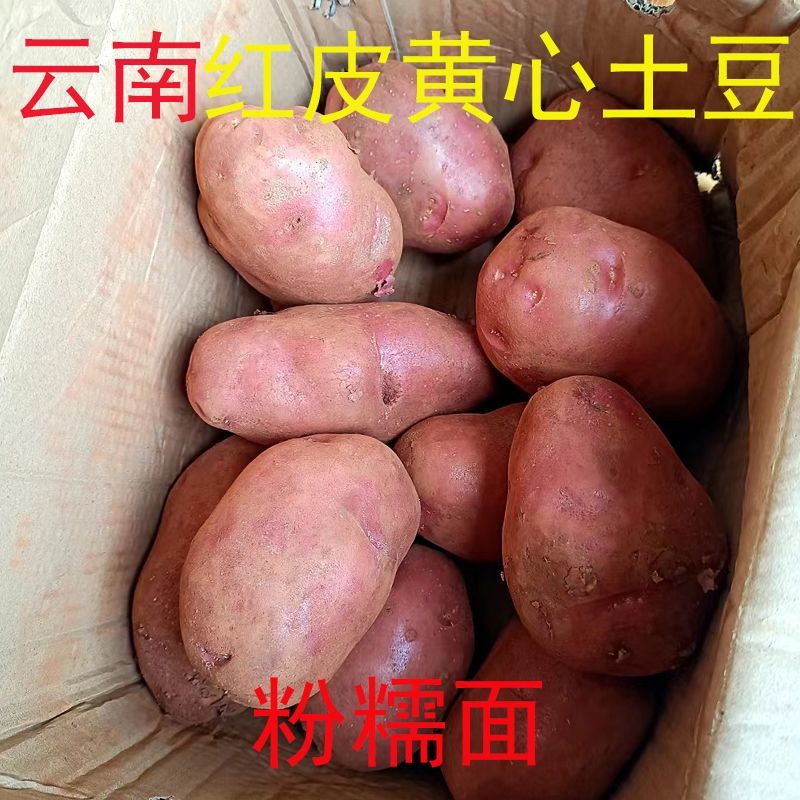 云南红皮土豆，基地直发，品质保证，可一件代发，量大从优