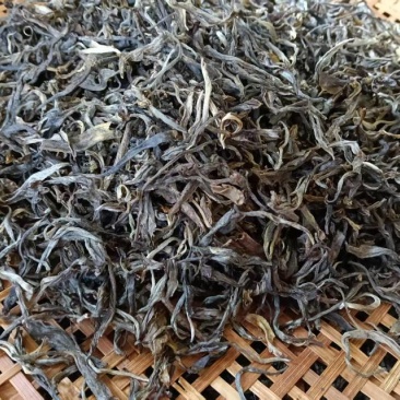 云南深山古树茶