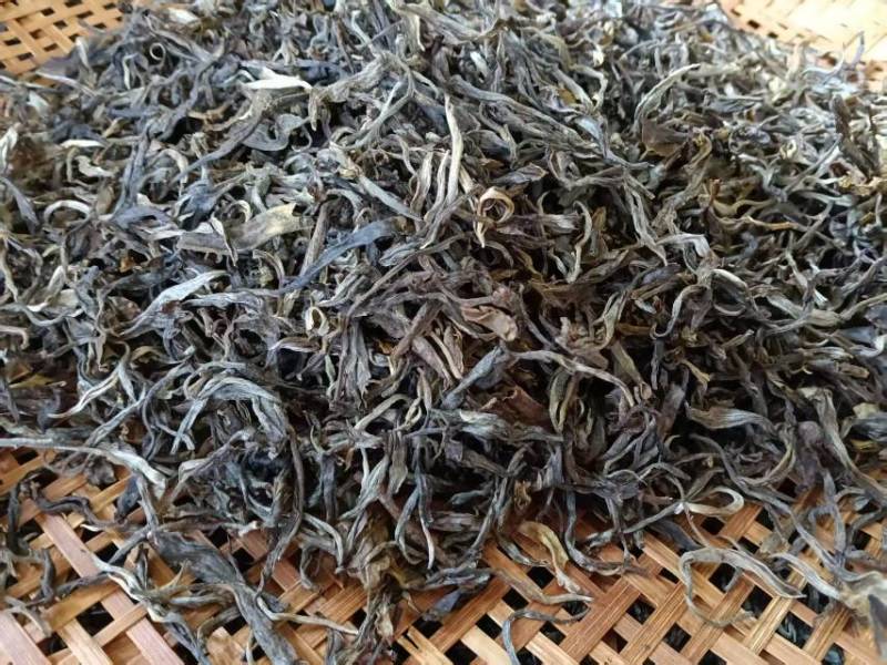云南深山古树茶