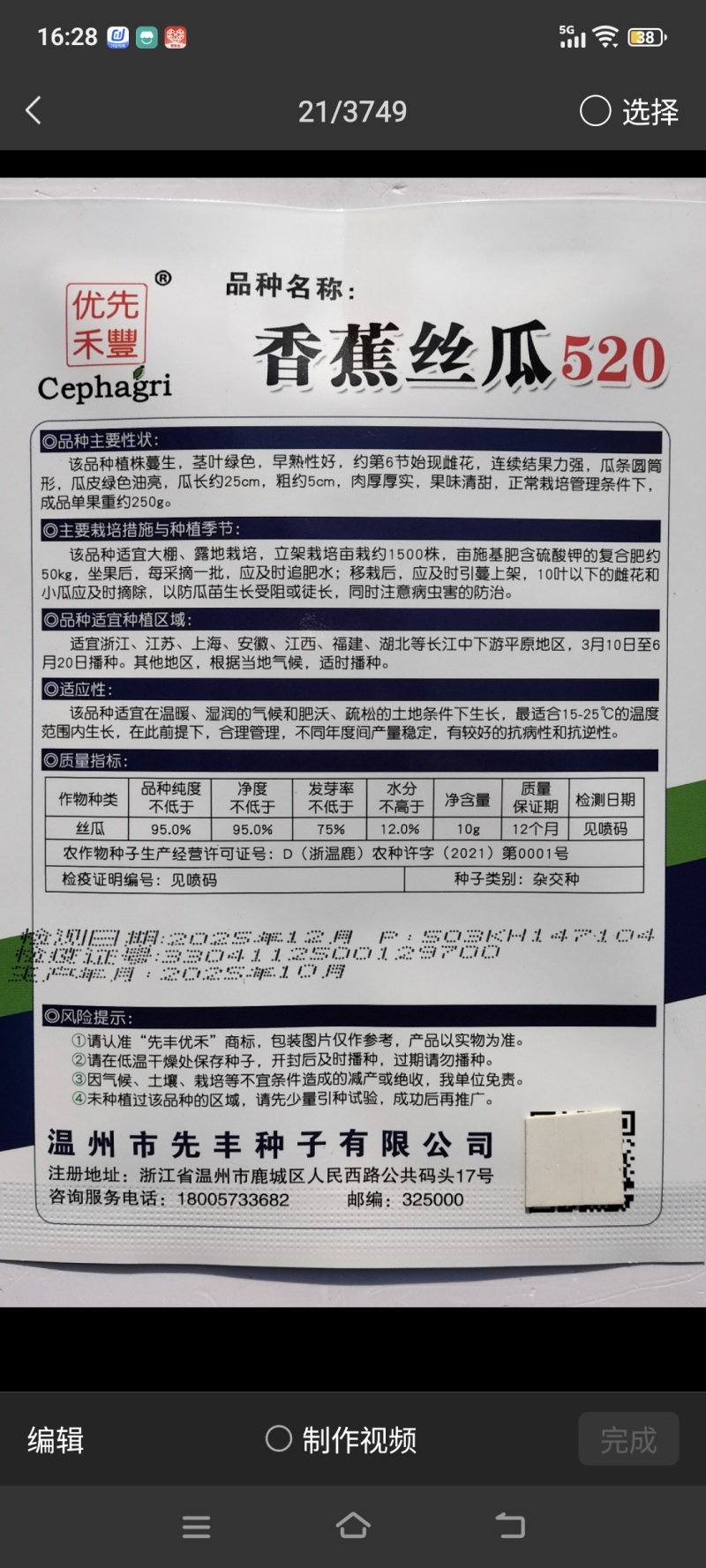 先丰香蕉丝瓜520丝瓜种子早熟油绿皮高产肉厚味浓短棒香丝