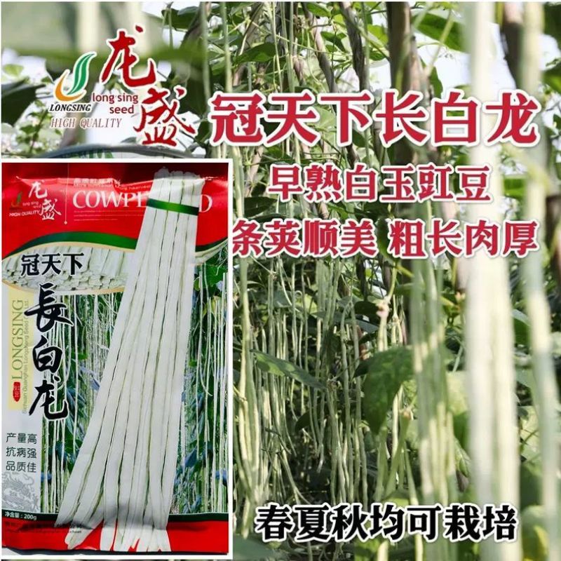 龙盛冠天下长白龙豇豆种子优质早熟高产耐热耐寒农家春秋播种