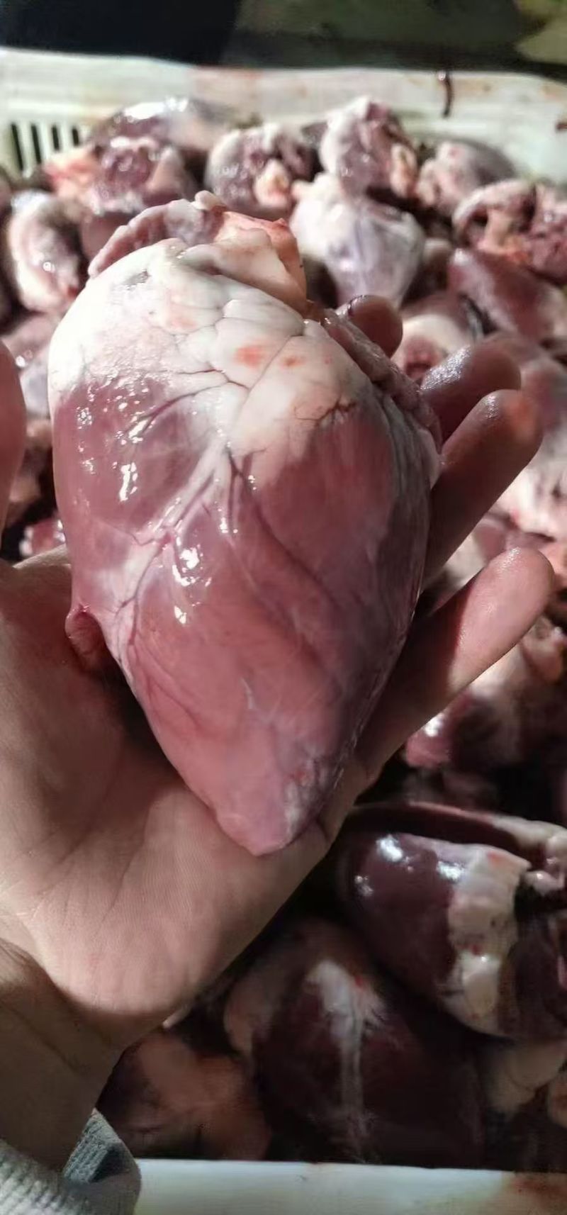 羊心：内蒙草原羔羊的羊心，冷鲜速冻，保证品质，大量有货！