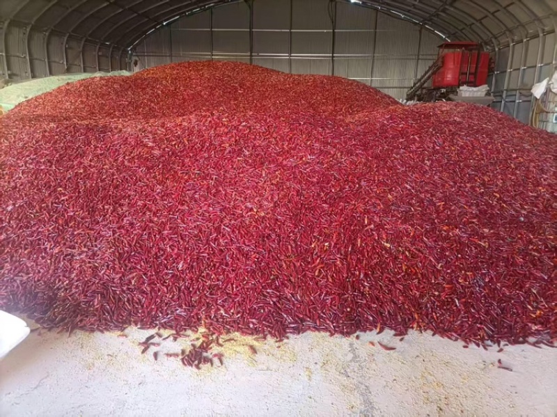 正宗纯内黄新一代农家干辣椒中辣特香干海椒火锅熬料辣椒