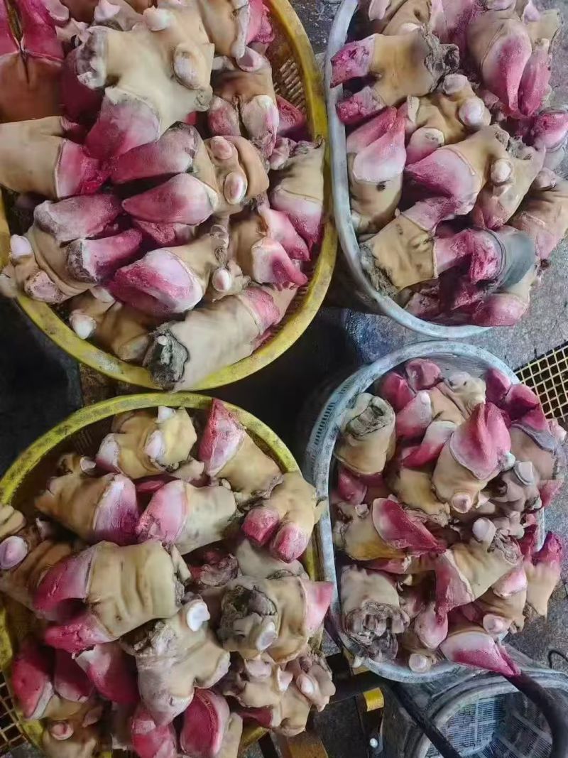 牛蹄腕腕：内蒙草原黄牛的蹄夹，蹄掌，火燎的干净常年有货