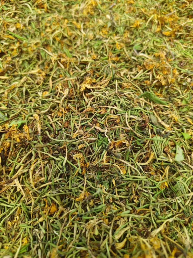 野生金银花大量有货保质保量，云南产地直发，量大从优