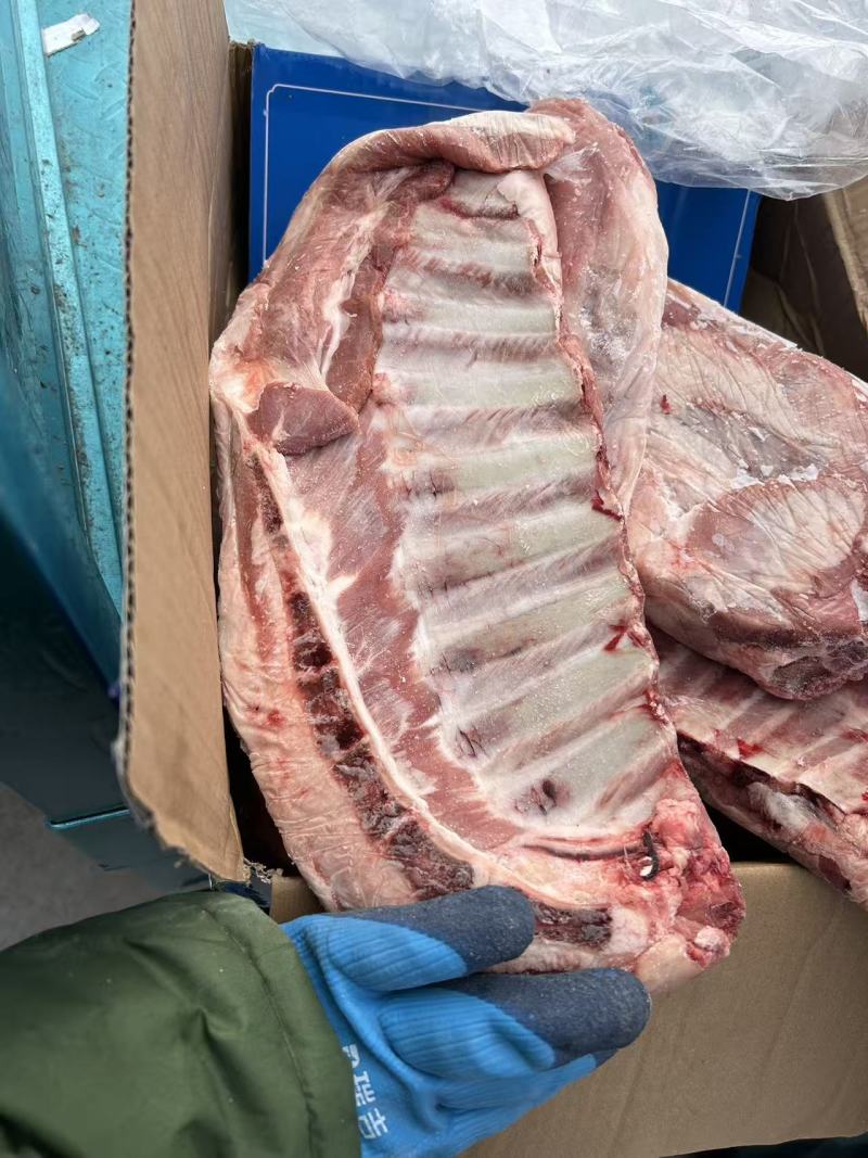 滩羊半排