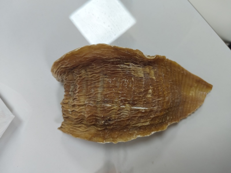 无盐笋干嫩笋干笋尖干货农家自制春笋竹笋干500g散装干