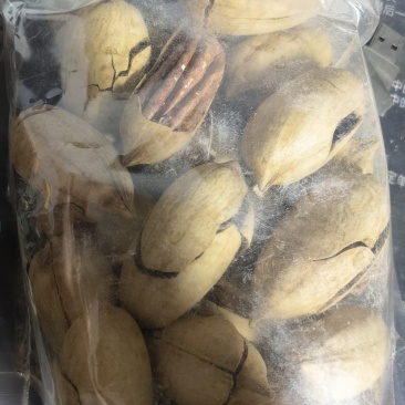 碧根果11一斤