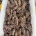 大连即食海参品质保证