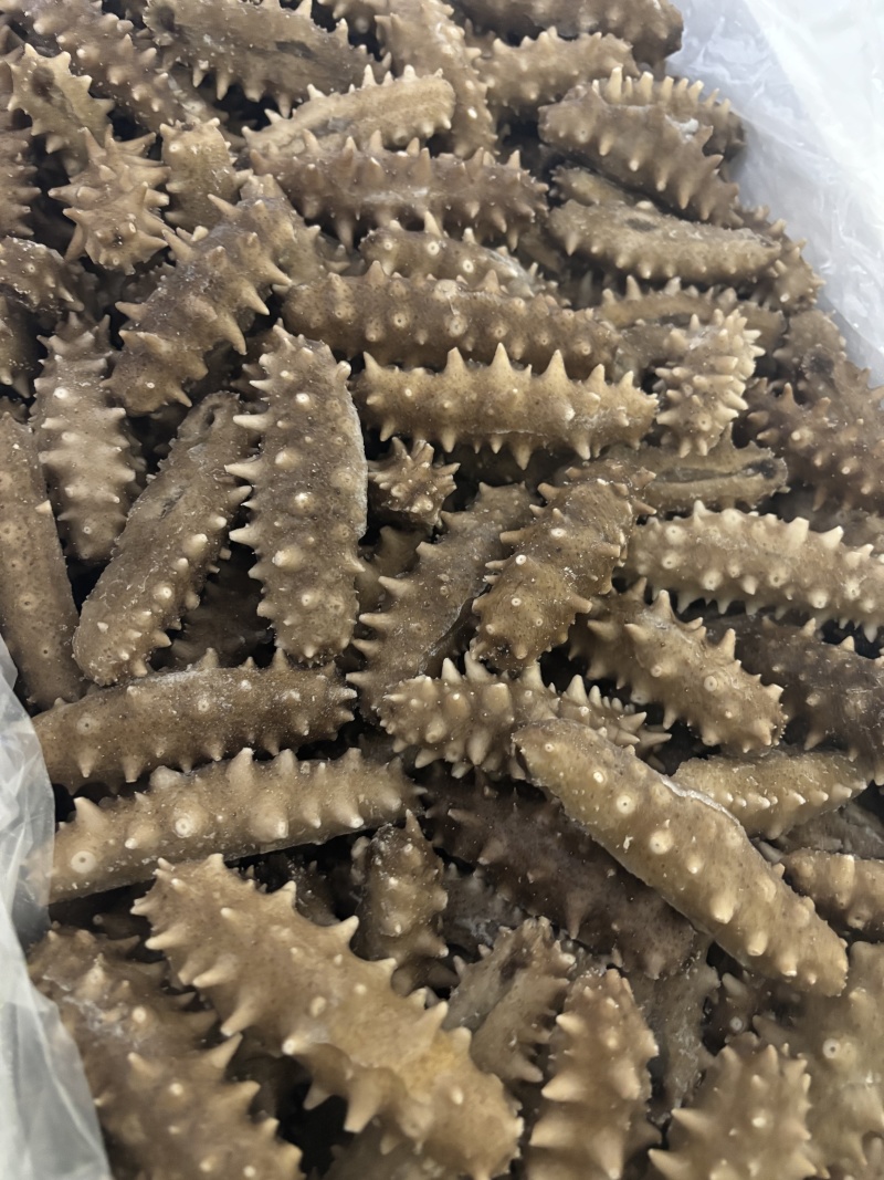 大连即食海参品质保证
