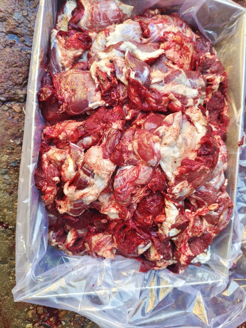 肉坠