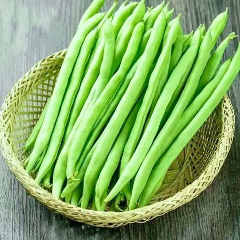 小金豆，四季豆