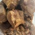酱香牛肉，肉块大，***剂，无水分感兴趣的欢迎光临！