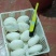 野生柴葛粉