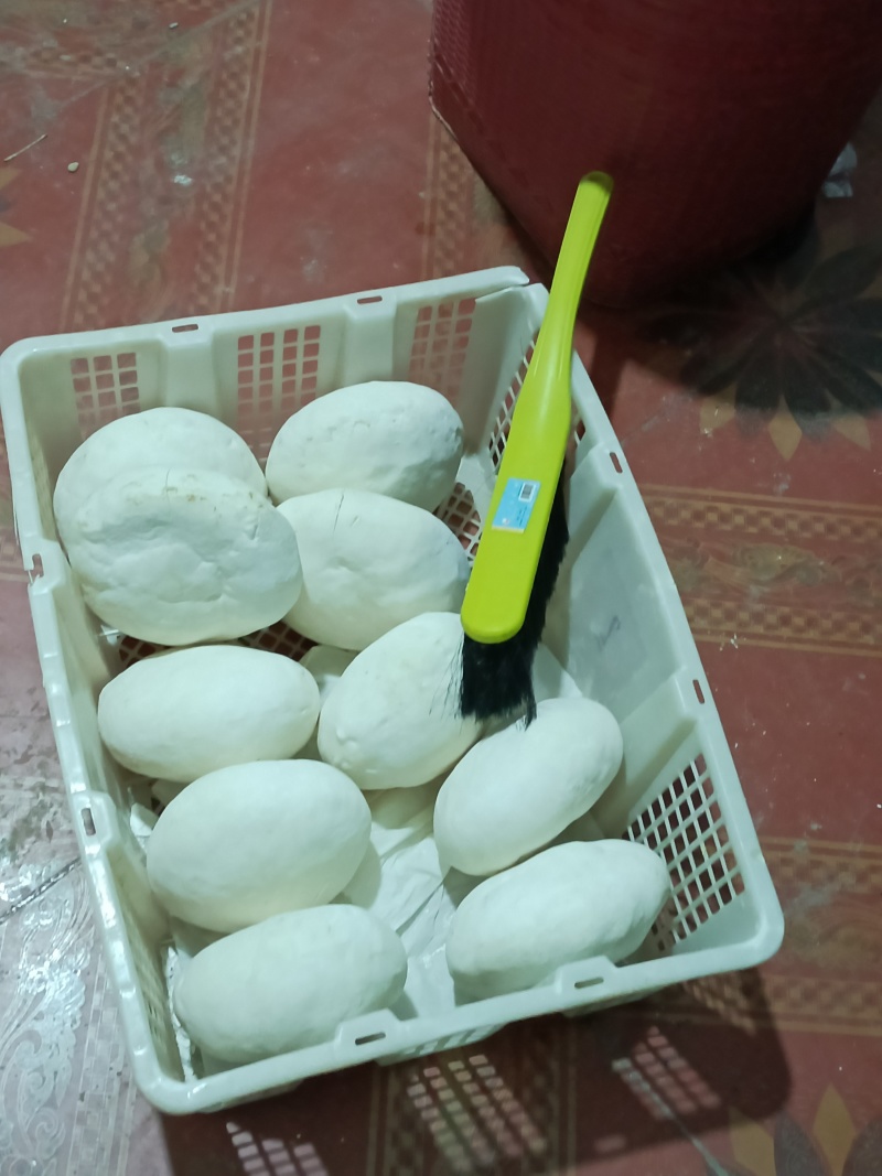 野生柴葛粉