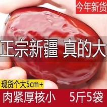 新疆大枣和田红枣特级特产骏枣大红枣非去皮无核玉枣今年新货