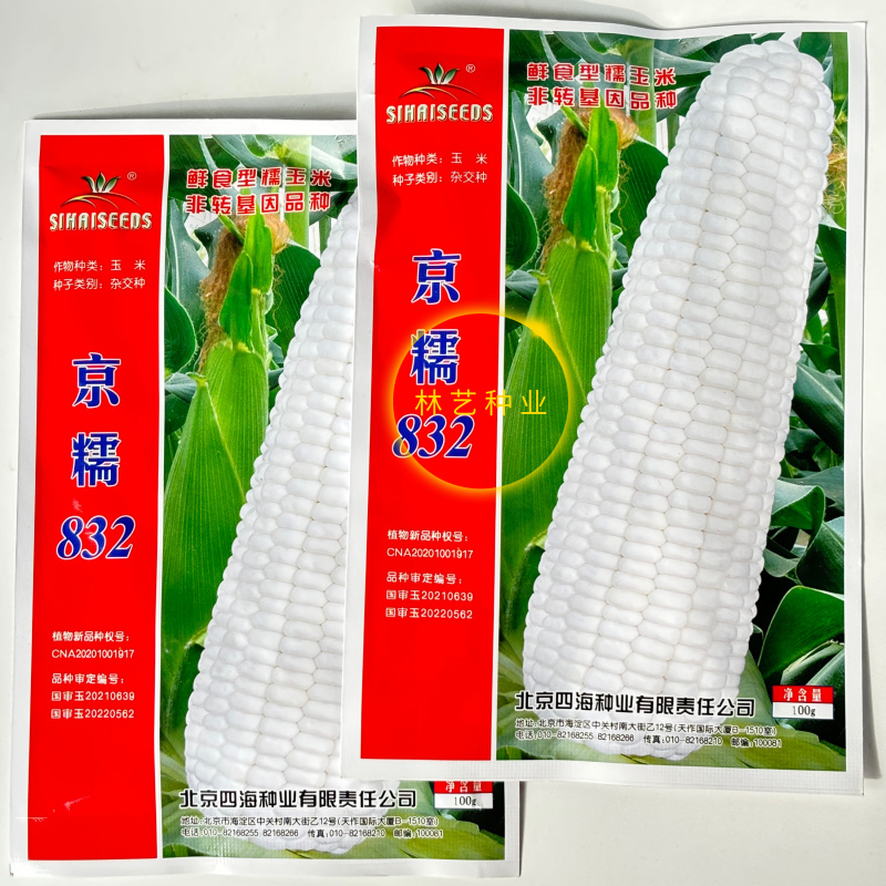 京糯832白糯玉米种子国审杂交种子鲜食大棒非转基因