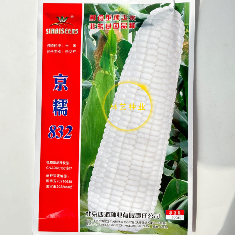京糯832白糯玉米种子国审杂交种子鲜食大棒非转基因
