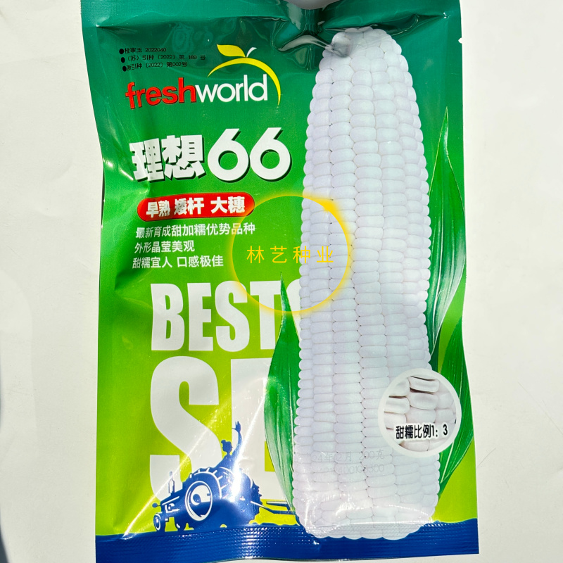 理想66白甜糯玉米种子早熟矮杆苞谷白甜糯1:3大棒皮薄