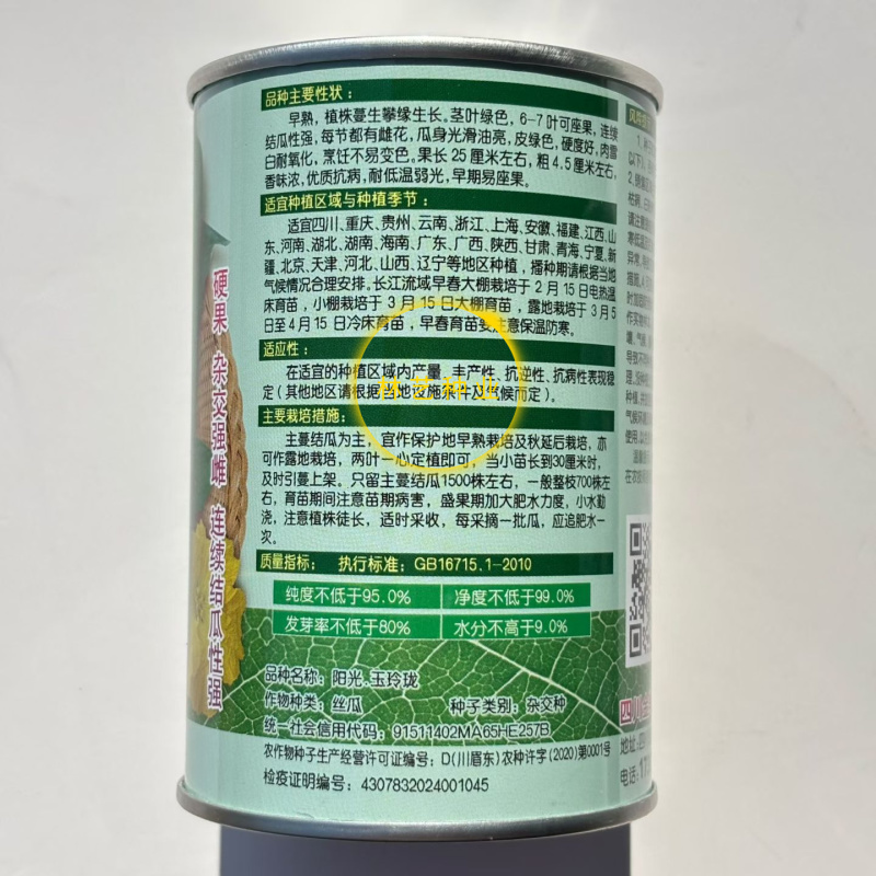 阳光玉玲珑油亮翠绿香丝瓜种子早熟短棒油绿丝瓜种籽硬度好产