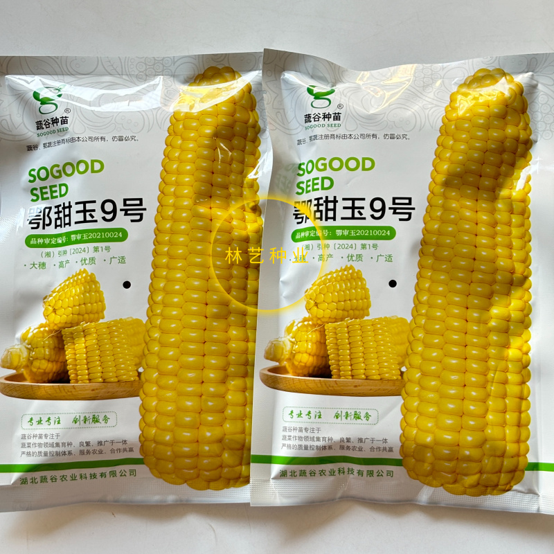 鄂甜玉9号玉米种子鲜食黄甜糯玉米种籽大棒水果甜玉米籽苞谷