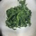 枸杞苗，新鲜，速冻，原产地采收传统工加工，代加工各种规格