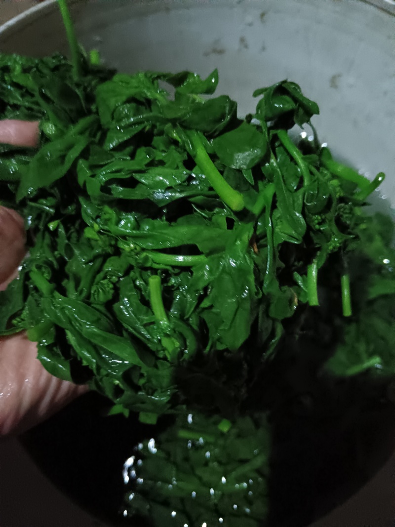 枸杞苗，新鲜，速冻，原产地采收传统工加工，代加工各种规格