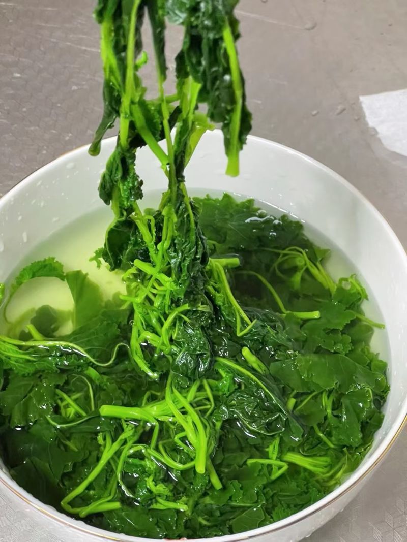 芥兰苗，可发鲜菜，可速冻，鲜菜低至一块五一斤