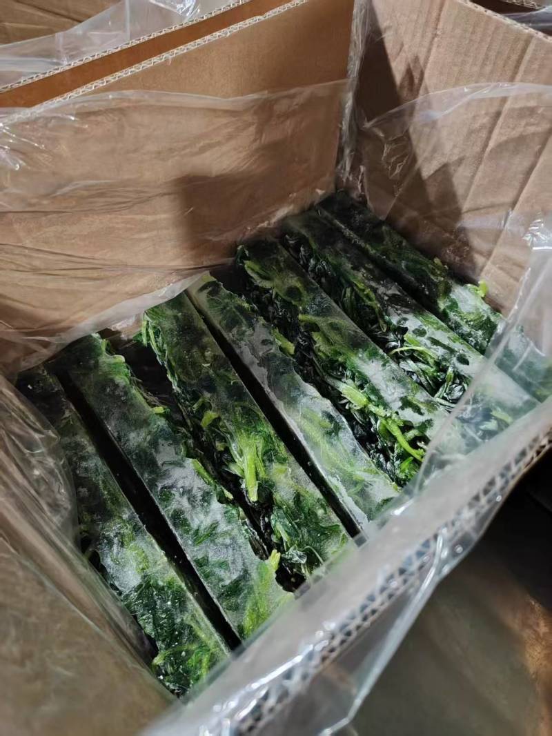 芥兰苗，可发鲜菜，可速冻，鲜菜低至一块五一斤