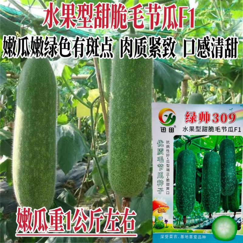 玲珑甜脆毛节瓜种籽种迷你小冬瓜种籽高产毛节瓜种子孑四季蔬