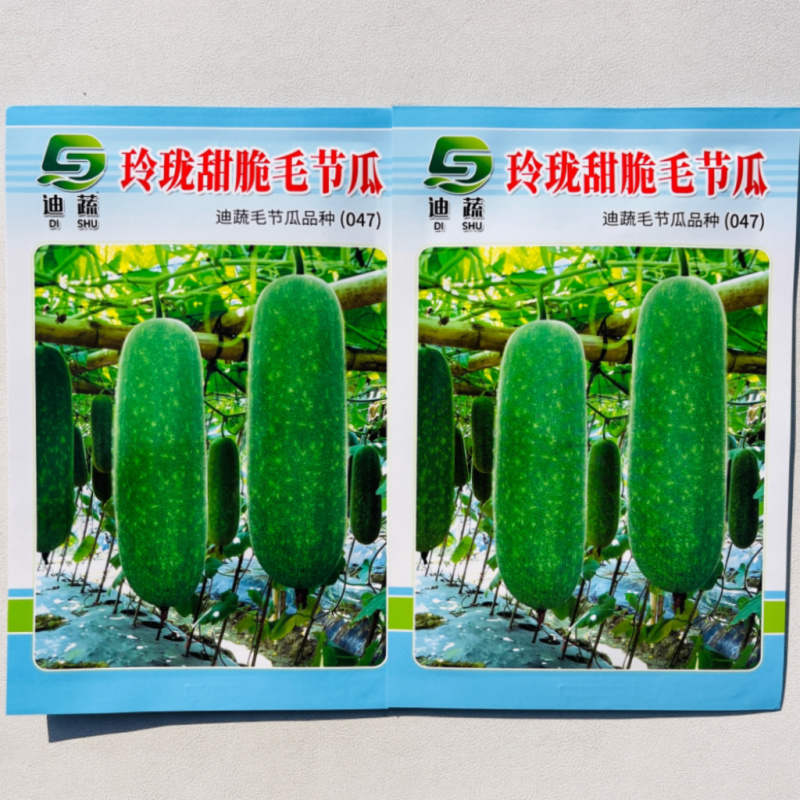 玲珑甜脆毛节瓜种籽种迷你小冬瓜种籽高产毛节瓜种子孑四季蔬