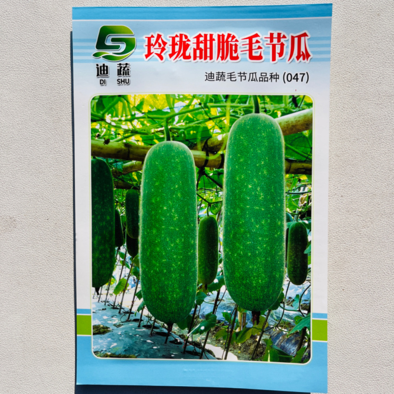 玲珑甜脆毛节瓜种籽种迷你小冬瓜种籽高产毛节瓜种子孑四季蔬