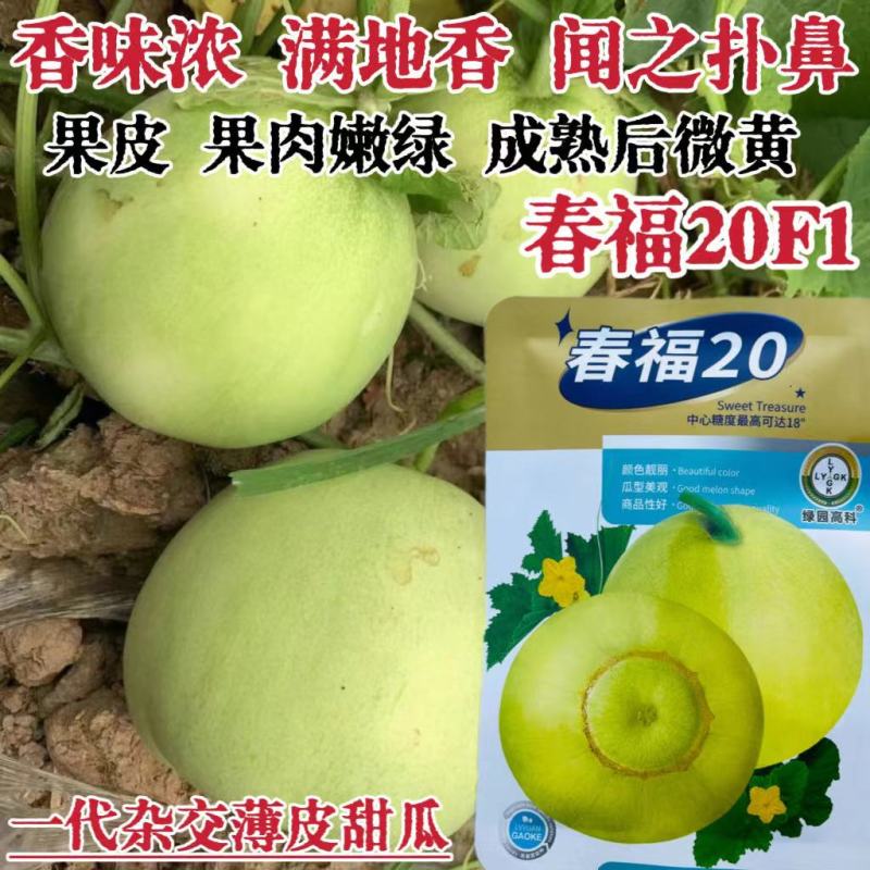 原装正品高档甜瓜种子冰糖甜宝甜瓜爆甜超甜种子薄皮大果香瓜