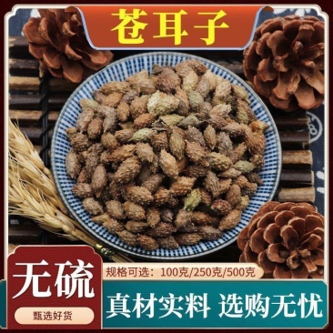 去刺生苍耳子炒苍耳子无硫批发中药材泡脚鼻涕各种规格
