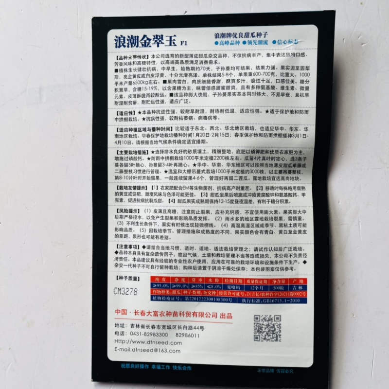 金花一号甜瓜品种种子脆甜豹纹绿肉种子