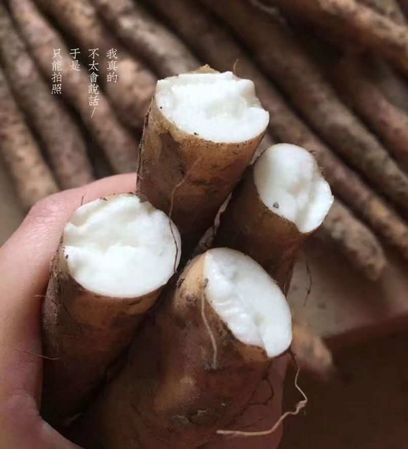 铁棍山药新鲜正宗河南焦作温县垆土5斤蔬菜铁杆铁棒怀山淮山