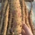 铁棍山药新鲜正宗河南焦作温县垆土5斤蔬菜铁杆铁棒怀山淮山