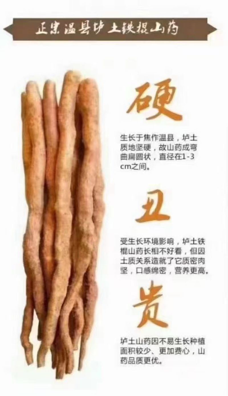 铁棍山药新鲜正宗河南焦作温县垆土5斤蔬菜铁杆铁棒怀山淮山