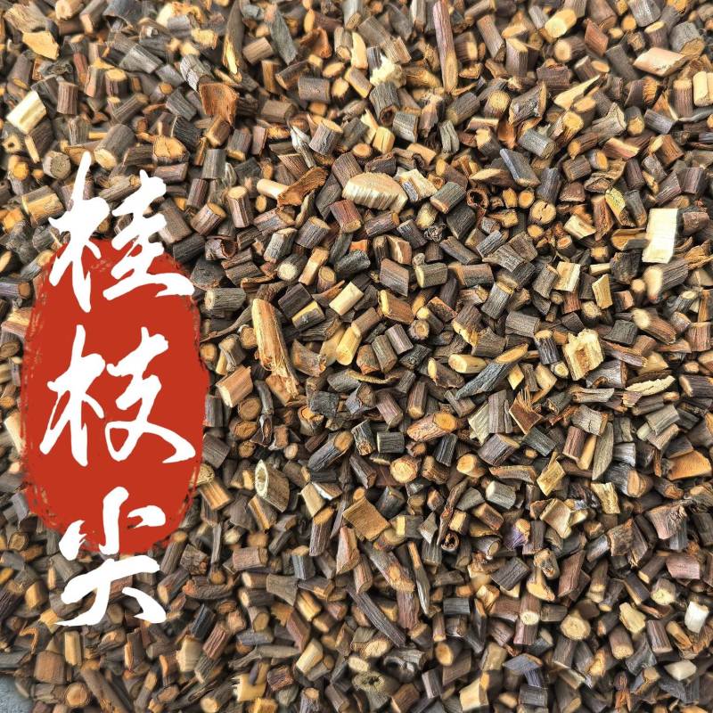 桂枝尖细小桂枝尖广西桂枝东弘药业一手货源现货供应