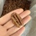 碧根果仁奶香味