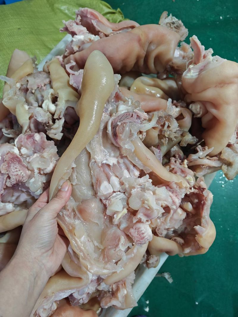 全熟牛蹄筋，整个，真空包装，大个，无泡发